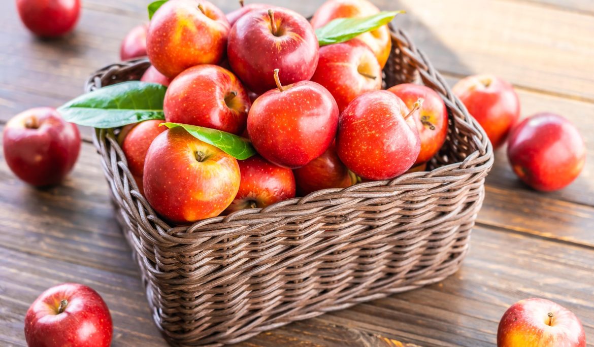 بررسی شرایط نگهداری سیب در سردخانه
