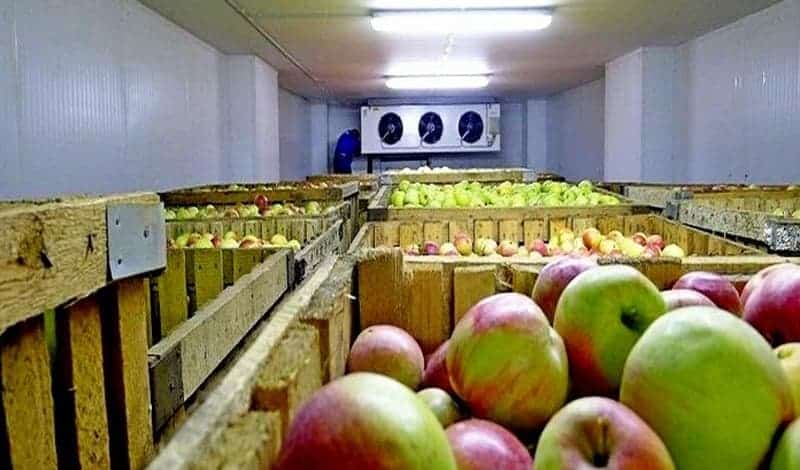 هزینه ساخت سردخانه میوه